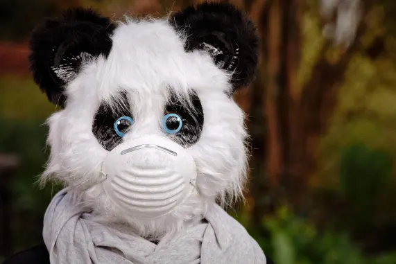 קזינו אייט סטורם תמיכה